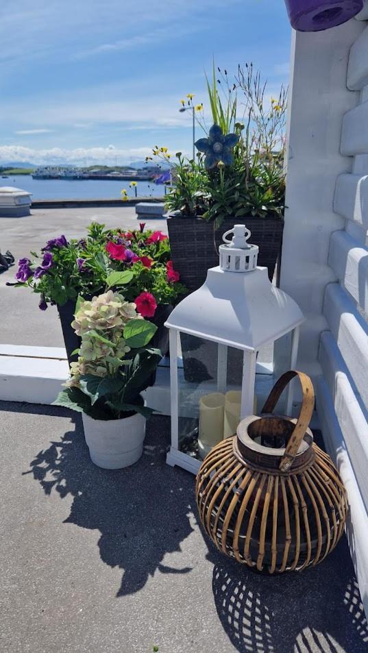 Rosie'S Apartments Killybegs Exterior foto